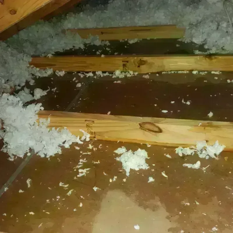 Attic Water Damage in Vine Hill, CA